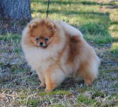 Kert at 10mos old