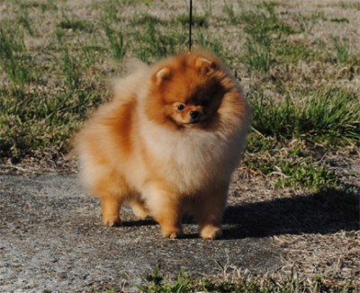 Kert at 10mos old