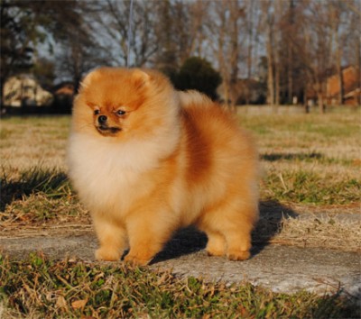 Kert at 8mos