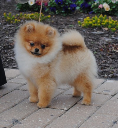 Kert at 5mos