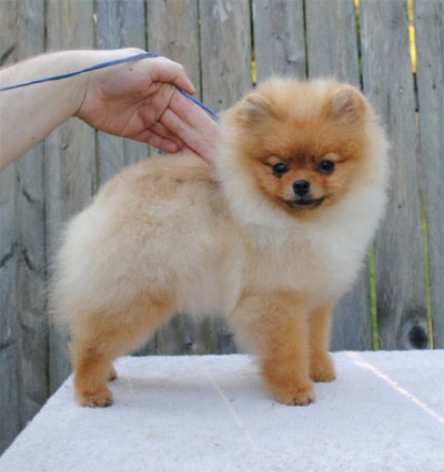 Kert at 5mos