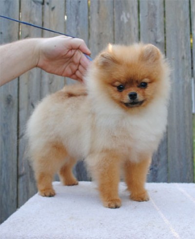 Kert at 5mos