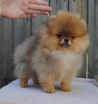 Malcolm at 12 wks
