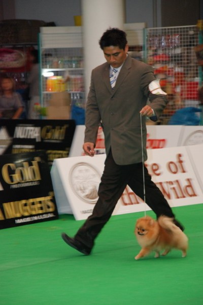 Max on the move