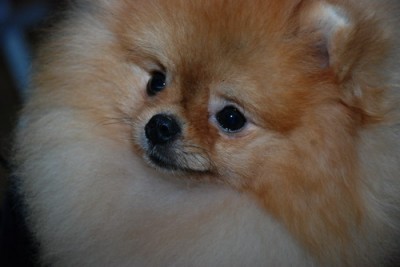 Xander at 1 yr old