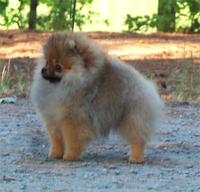Westley at 5mos old
