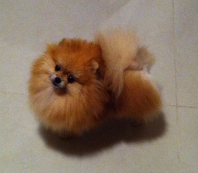 Gabby at 2 yrs old