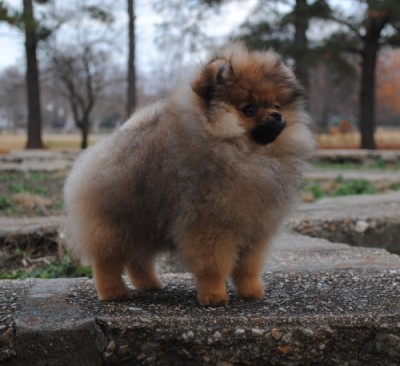 Arya 14 wks