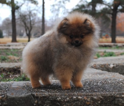 Arya 14 wks