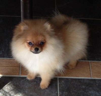 Kaneesa at 4mos