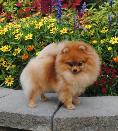 Kaneesa at 9mos