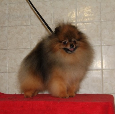 Cole at 4 yrs old
