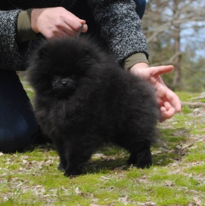 Claudia at 4mos old