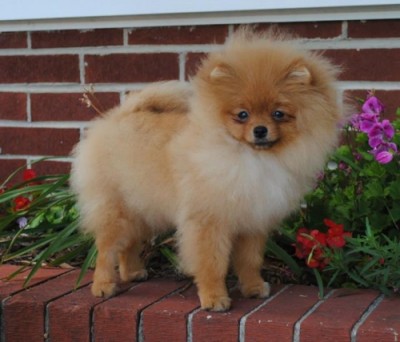 Mindy 5mos