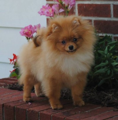 Marsha 5mos