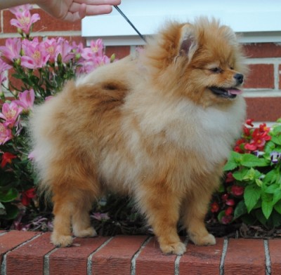 Jan at 6mos
