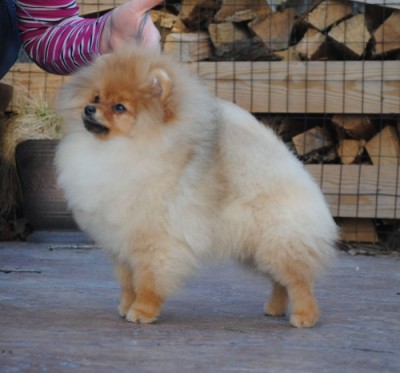 Doreah at 5mos old
