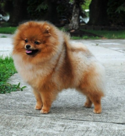 Doreah at 10mos old