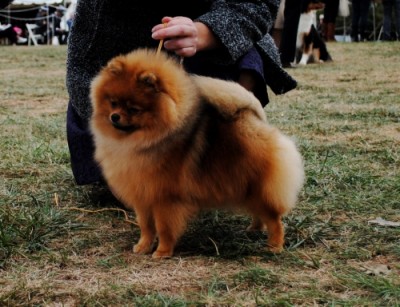 Sweetie 9mos old