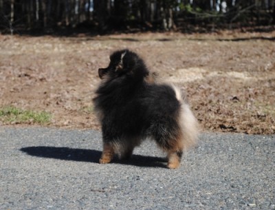 Tina at 4mos old