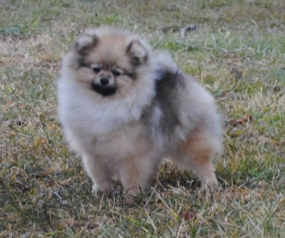 Freya at 7mos old