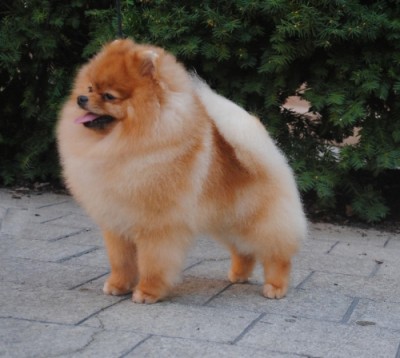 Selmy at 18mos old