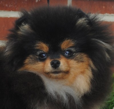 Tina at 6mos old