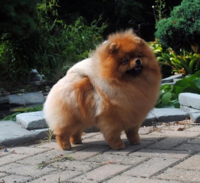 Junior at 18mos old