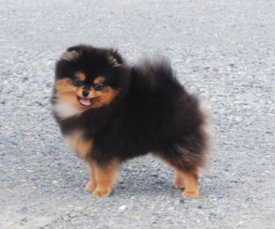 Tina at 7mos old