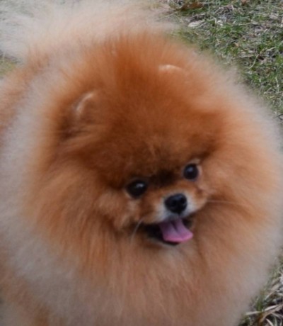 Kert 5 1/2 yrs old