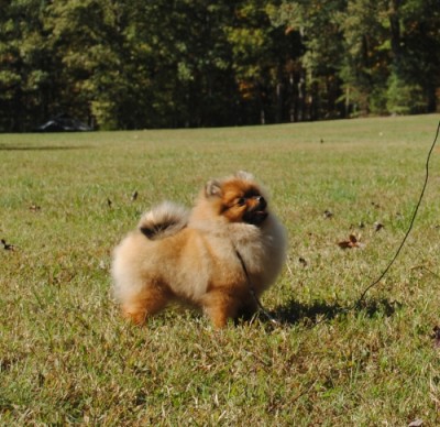 Ainsley at 5mos old