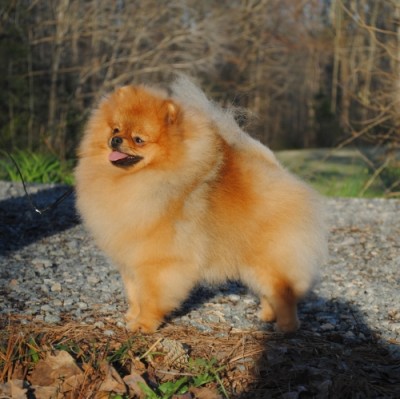 Harley at 16mos