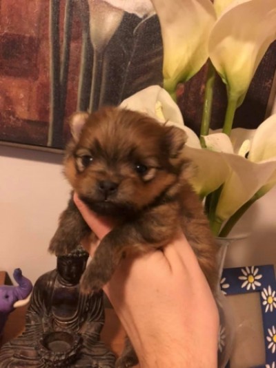 Naomi at 3 wks old