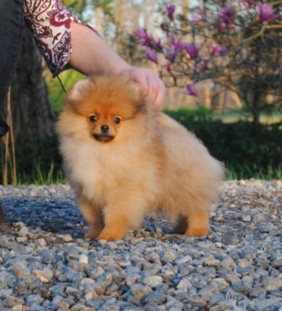 Naomi 15 wks
