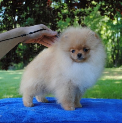 Kylie at 14 wks