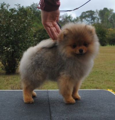 Tasty at 14 wks old