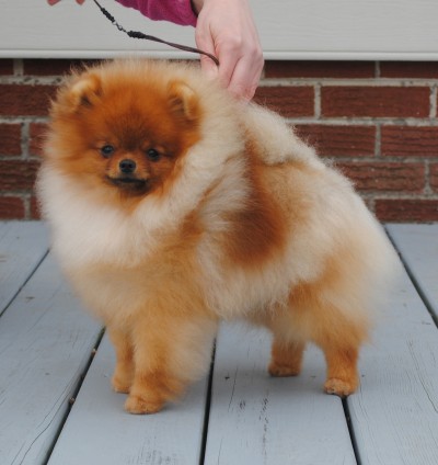 Jesper 9mos old