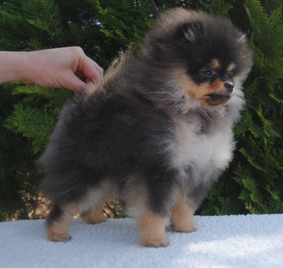 Lylah at 4mos old