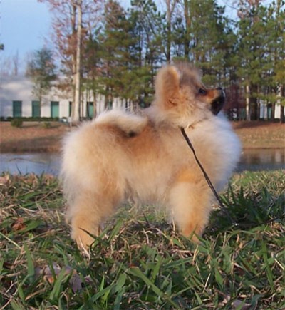Ashton at 5 mos