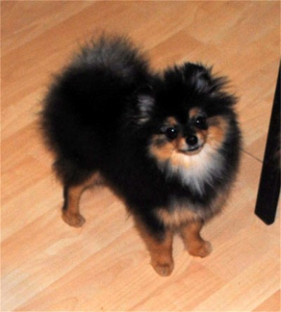 Boots at 6 mos