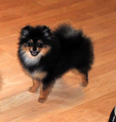 Boots at 6 mos