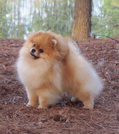 Chad at 4 years old